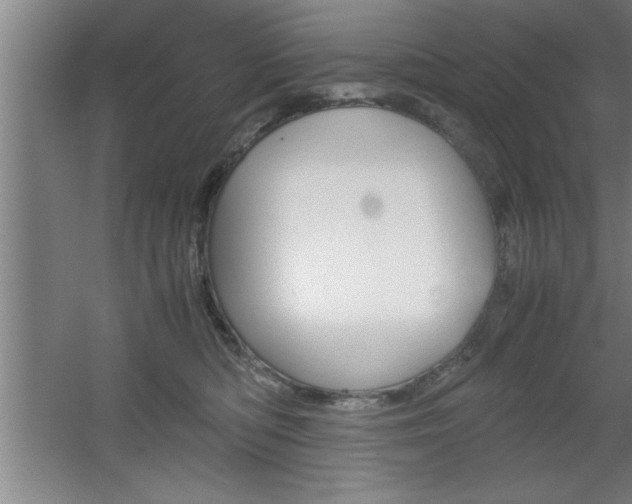 X0000060550422200511030857