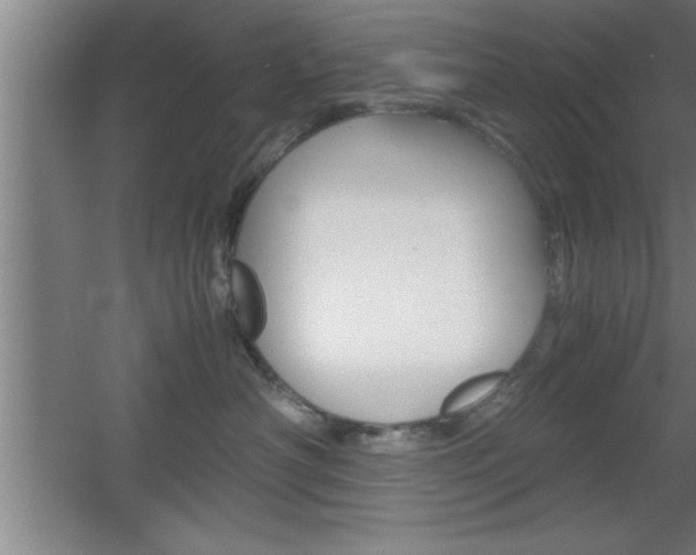 X0000060550430200511030857