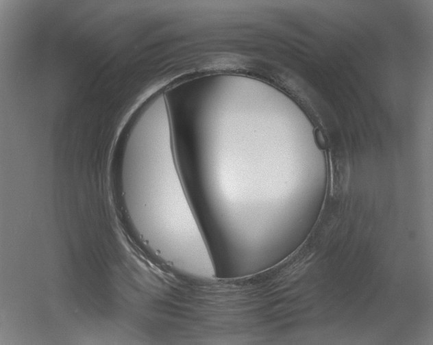X0000060550435200511030856