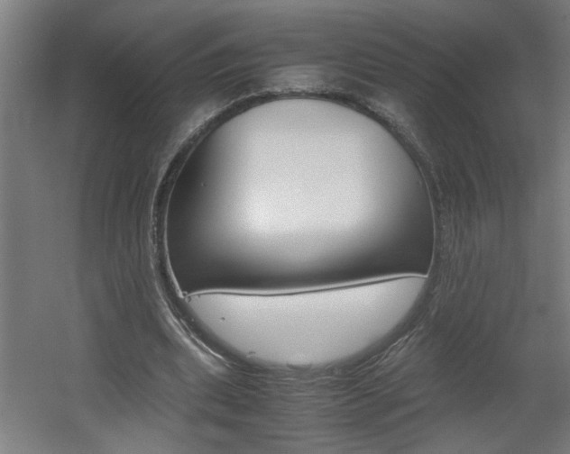 X0000060550439200511030856