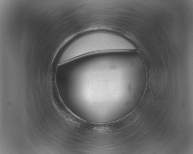 X0000060550440200511030856