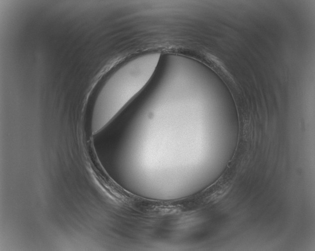 X0000060550443200511030856
