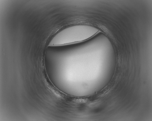 X0000060550449200511030856