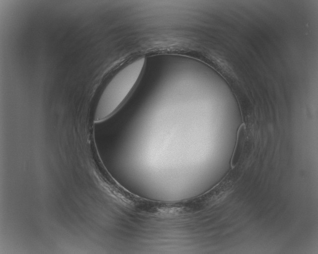 X0000060550450200511030856