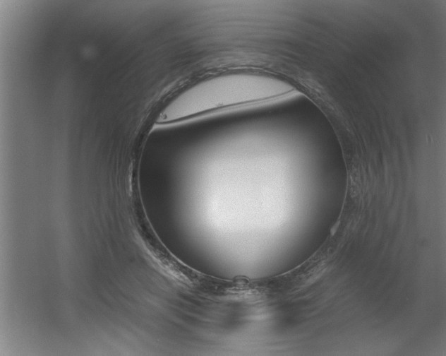 X0000060550454200511030856