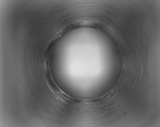 X0000060550456200511030856