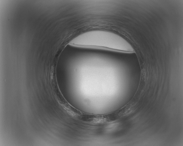 X0000060550458200511030856