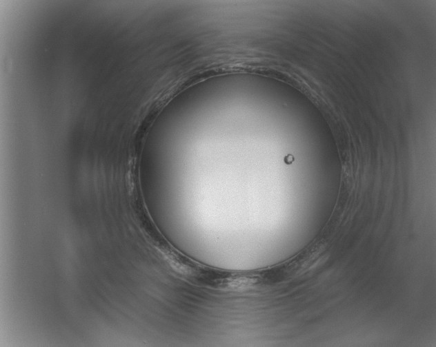 X0000060550462200511030856