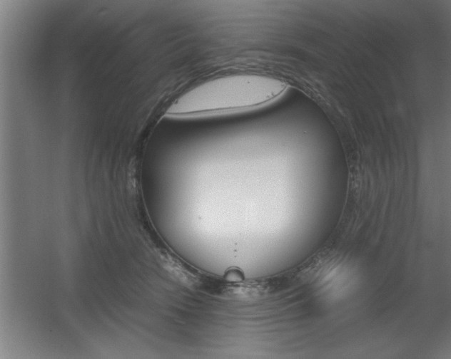 X0000060550466200511030856