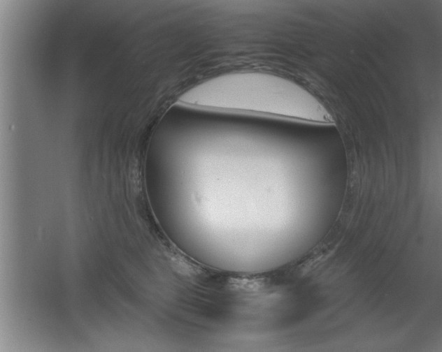 X0000060550469200511030857
