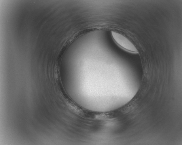 X0000060550470200511030857