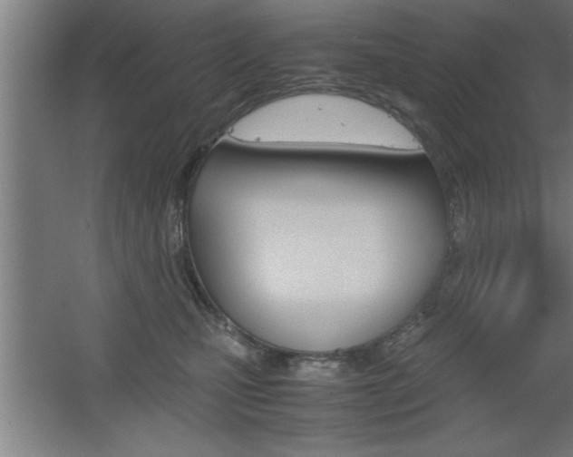 X0000060550471200511030857