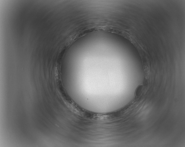 X0000060550472200511030857