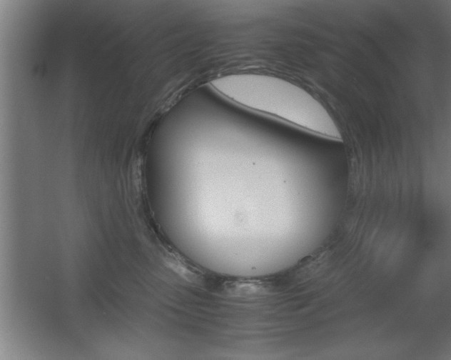 X0000060550475200511030857