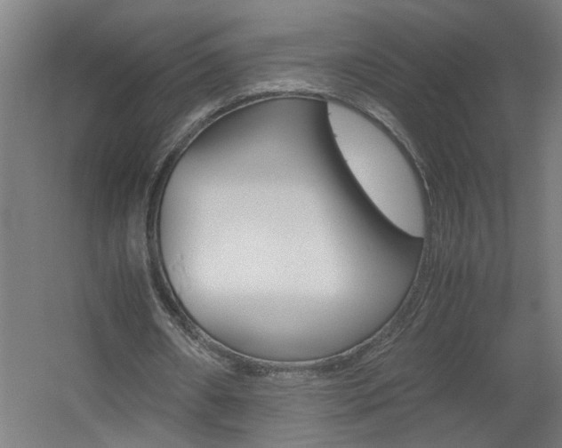 X0000060550482200511030856