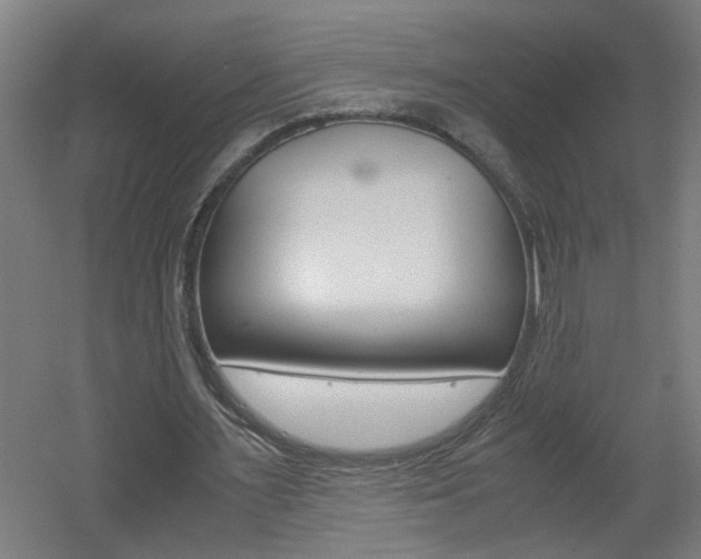 X0000060550483200511030856