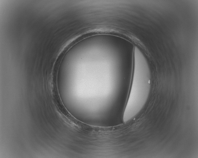 X0000060550484200511030856