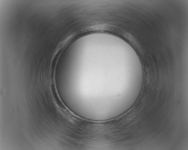 X0000060550486200511030856