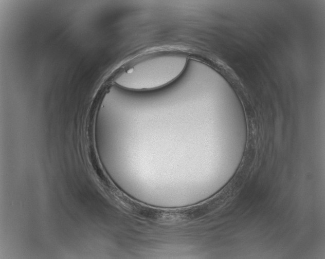 X0000060550487200511030856