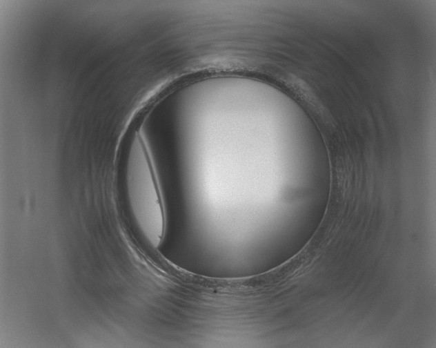 X0000060550488200511030856