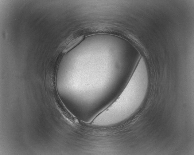 X0000060550489200511030856