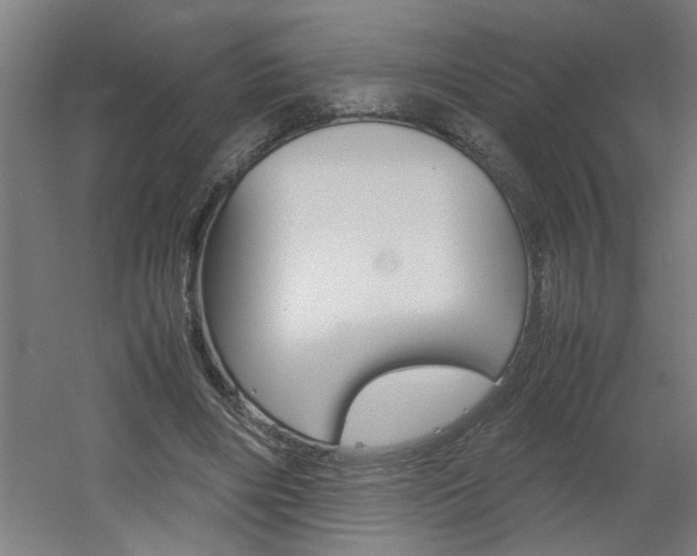 X0000060550490200511030856