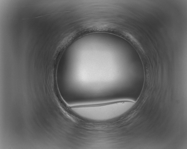 X0000060550493200511030856
