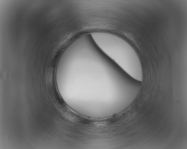 X0000060550495200511030856