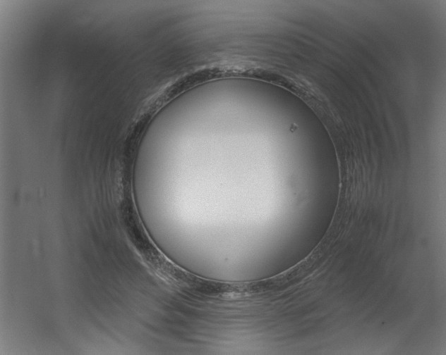 X0000060550496200511030856