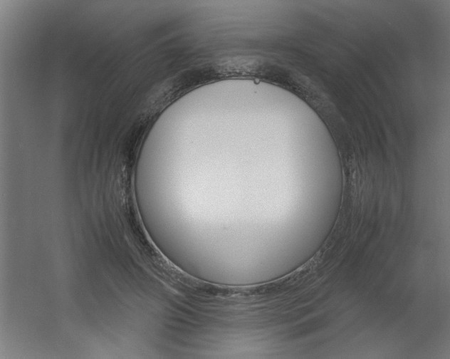 X0000060550498200511030856