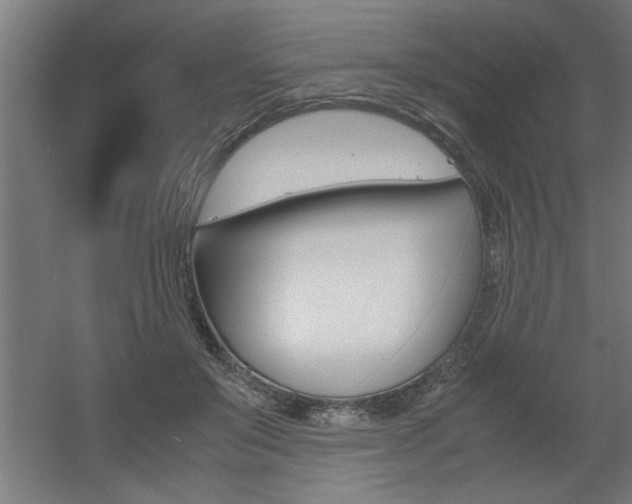 X0000060550503200511030856