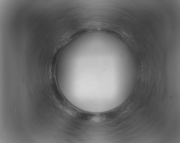 X0000060550504200511030855