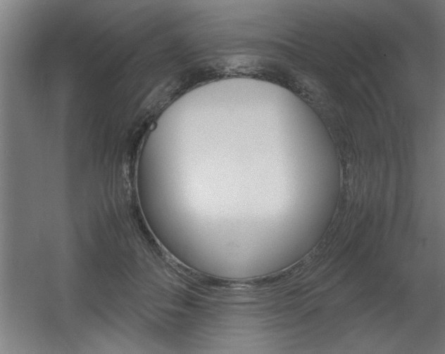 X0000060550506200511030855