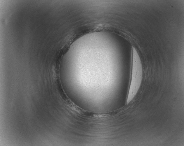 X0000060550520200511030855