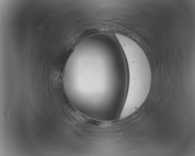 X0000060550521200511030855