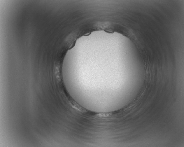 X0000060550526200511030855