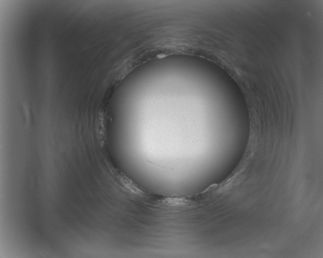X0000060550528200511030855