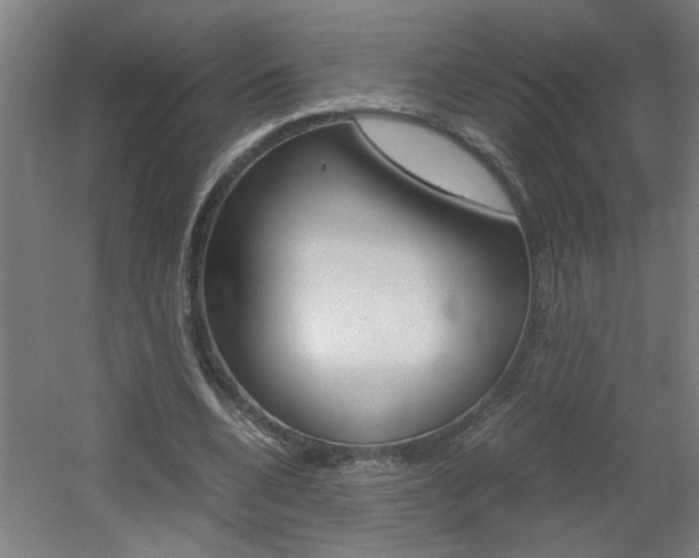 X0000060550536200511030854