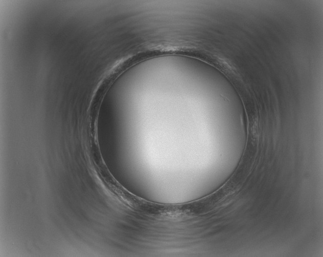 X0000060550540200511030854