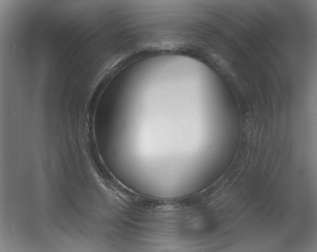 X0000060550544200511030855