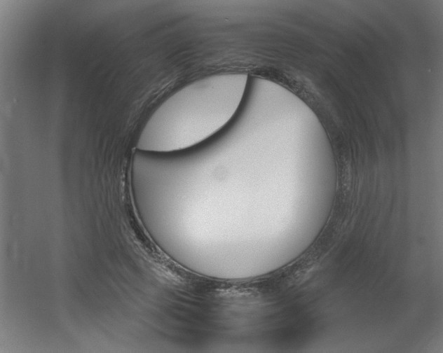 X0000060550545200511030855