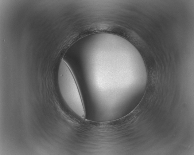 X0000060550546200511030855
