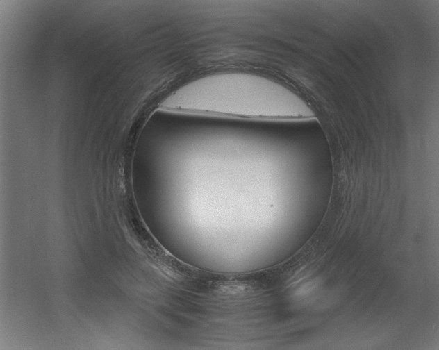 X0000060550547200511030855