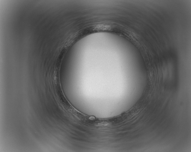 X0000060550551200511030855
