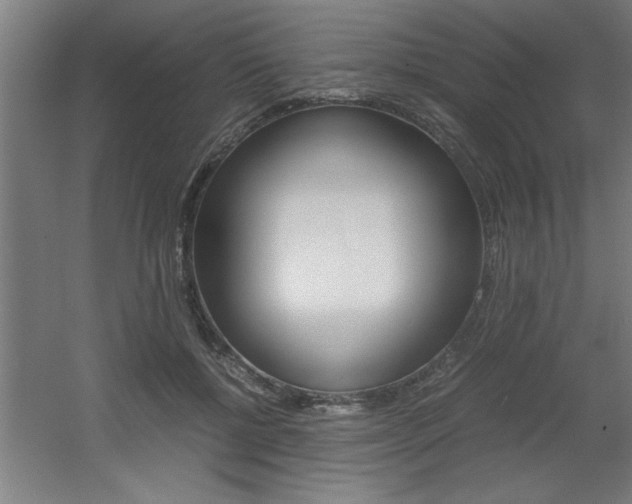 X0000060550552200511030855