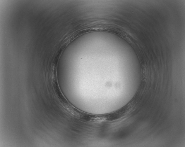 X0000060550554200511030855