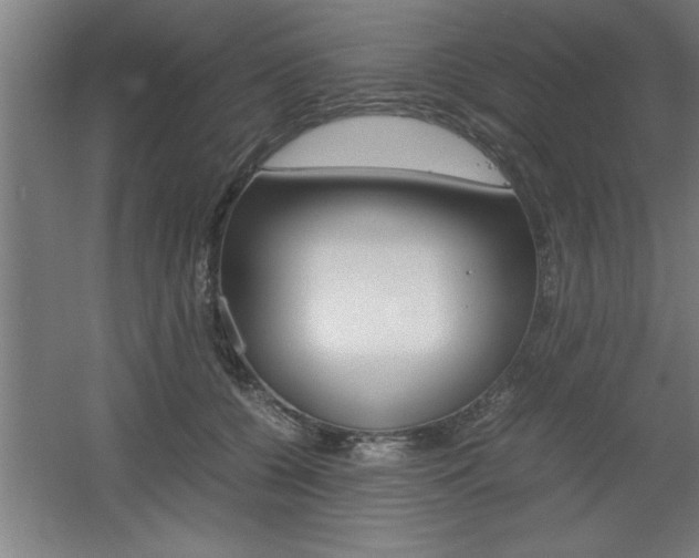 X0000060550560200511030855