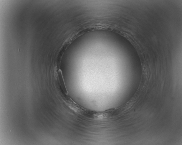 X0000060550564200511030855