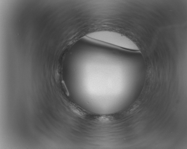X0000060550566200511030855
