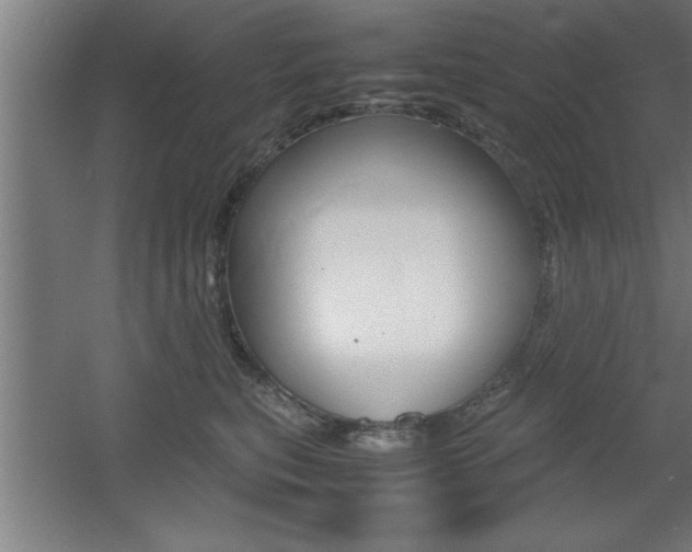 X0000060550567200511030855